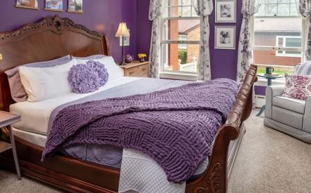 Purple Viking Suite