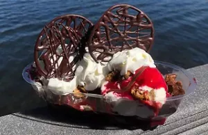 Fancy Ice Cream Sundae