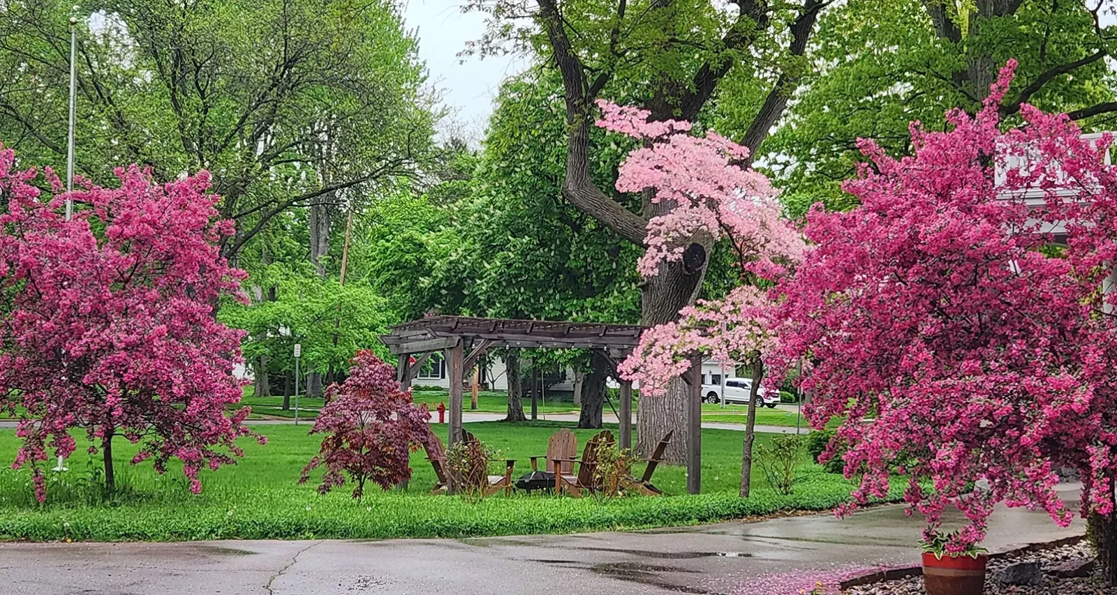 Bed and Breakfast Gardens